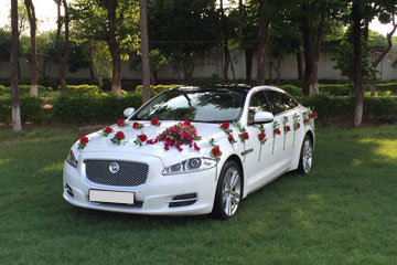 Luxury Wedding Car Rentals in Tanda